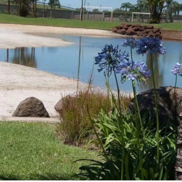 Foto de 